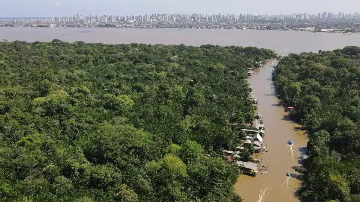 Investimento em fundo florestas