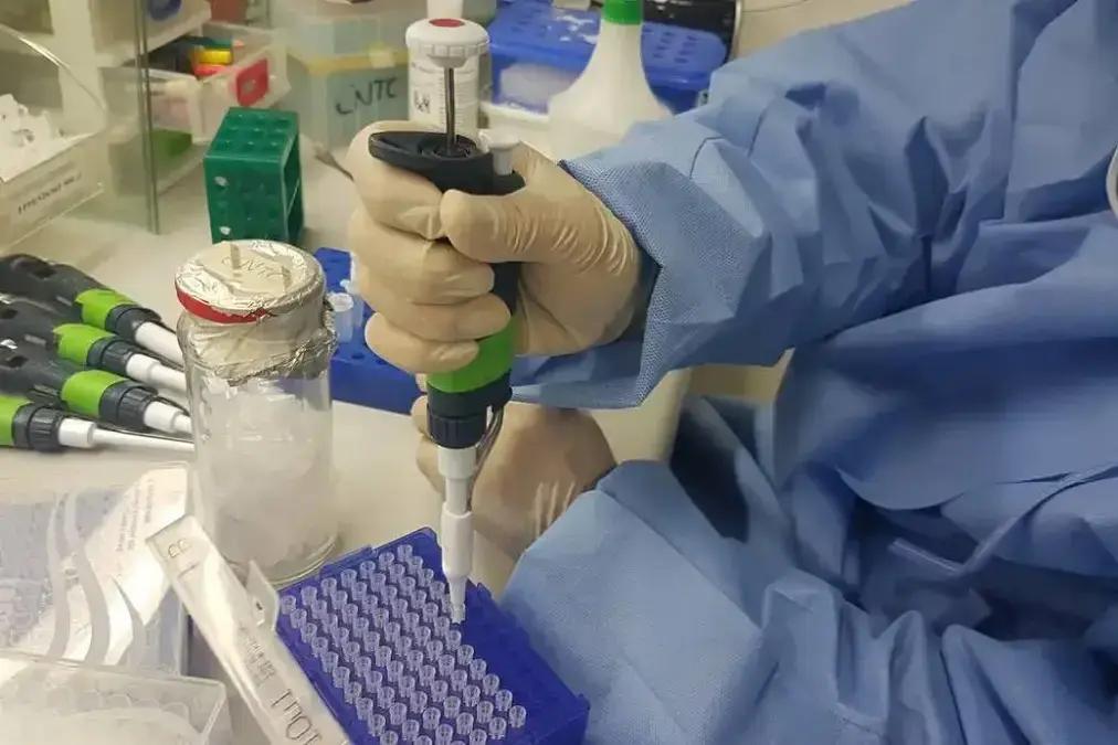 Apoio para jovens cientistas