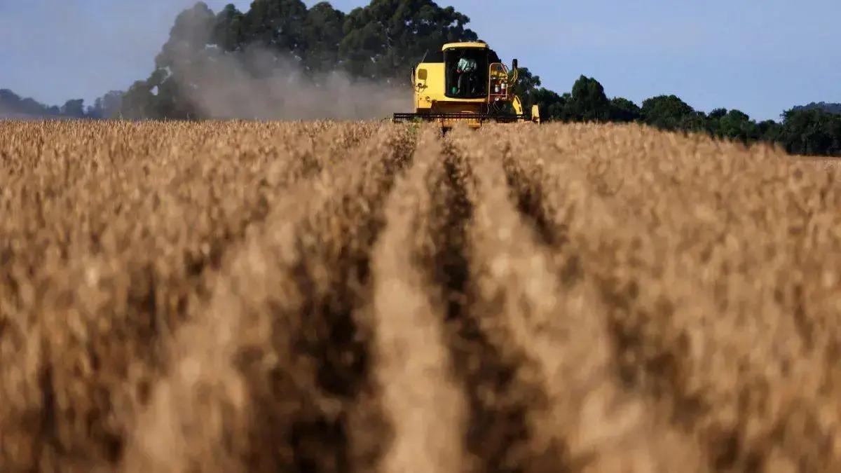 Lei antidesmatamento da UE