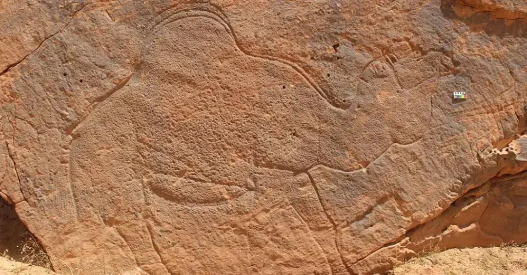 Placas de trânsito pré-históricas