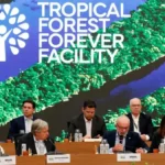 Aporte ao fundo liderado pelo Brasil