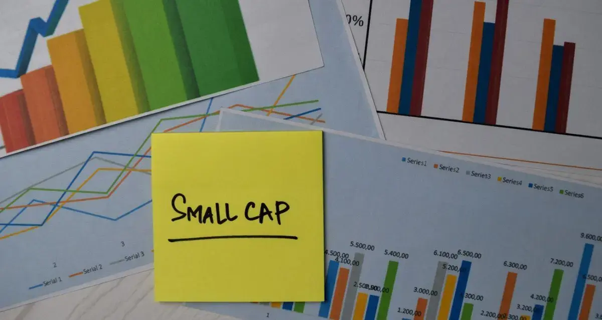 Carteira recomendada de small caps