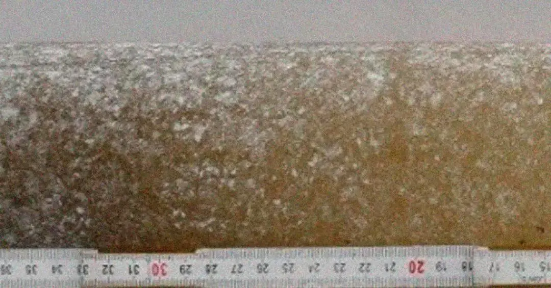 Clima da Terra no Mioceno