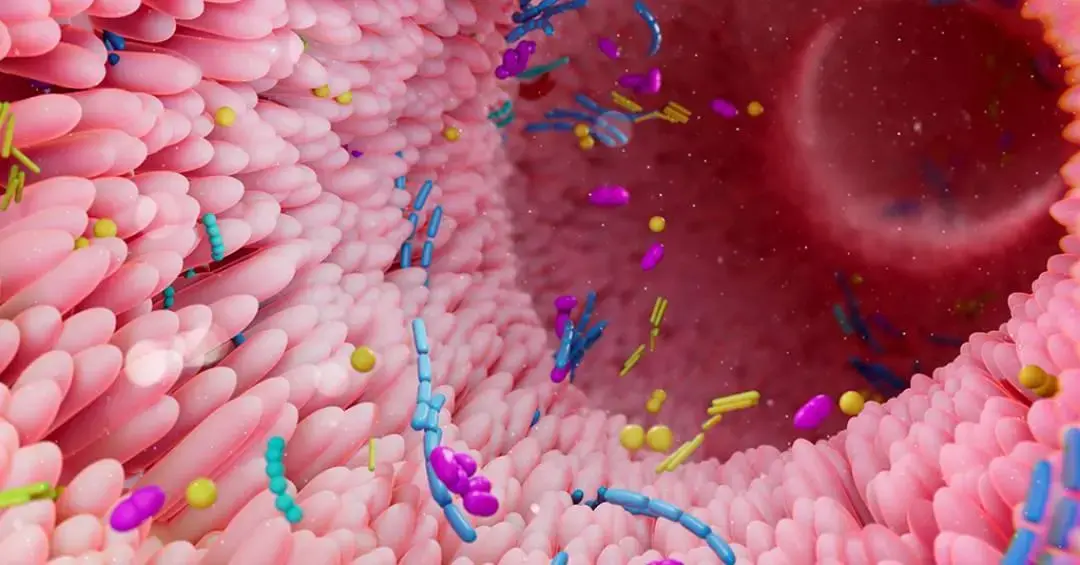 Células do corpo humano