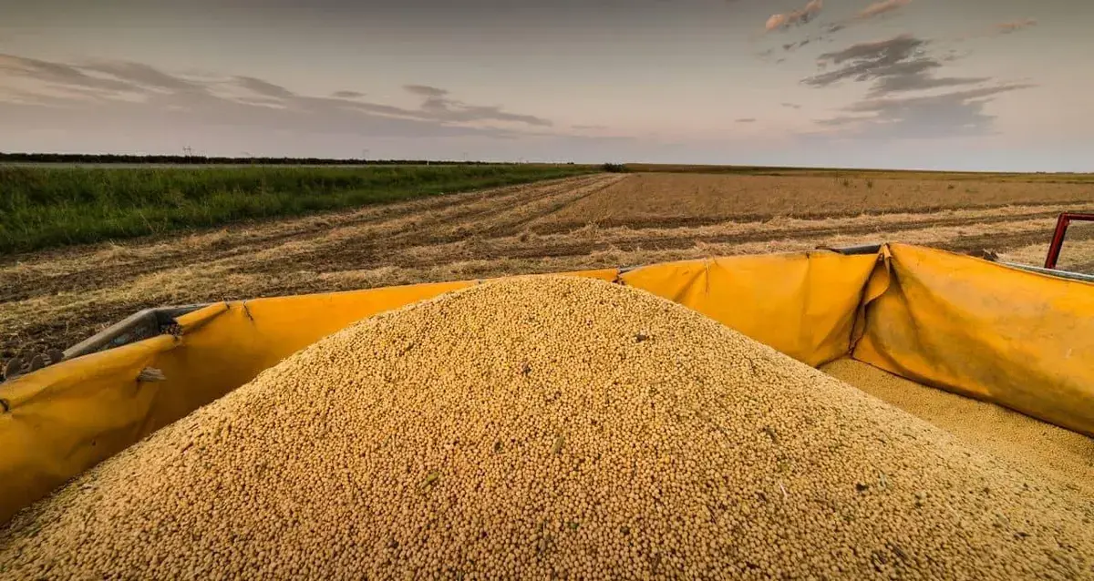 Compras de soja dos EUA