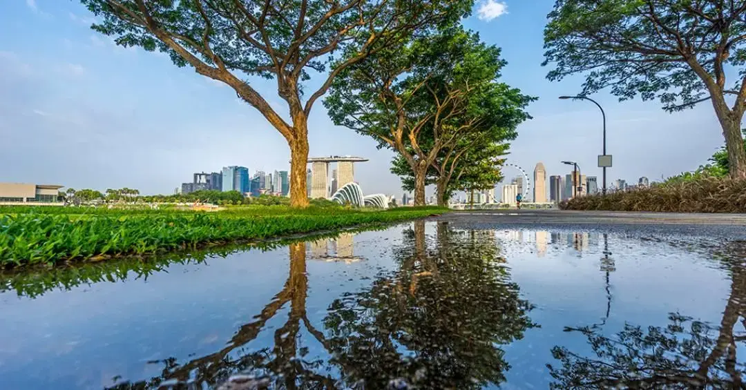 Estratégias para emissões de CO2