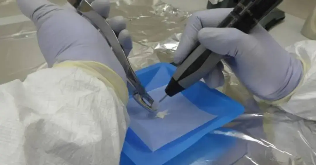 Genomas de 238 pessoas