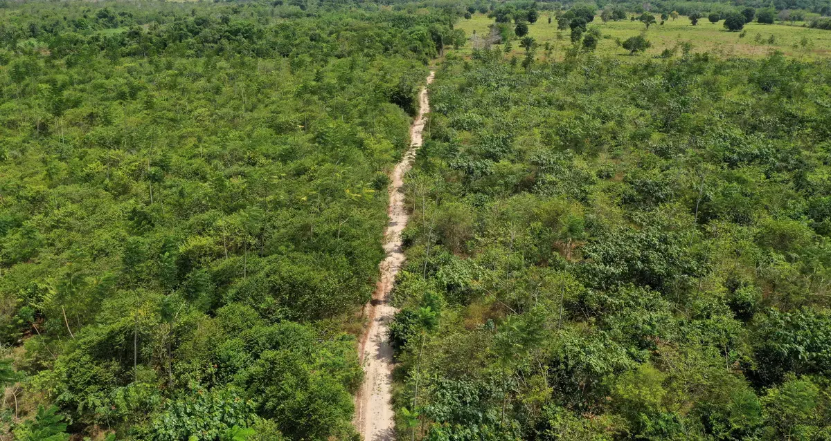 Licenciamento ambiental no Brasil