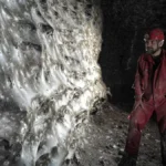 Megateia com aranhas