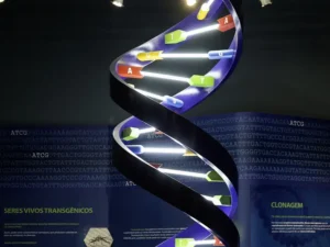 O que é DNA
