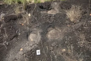 Pegadas de dinossauros em Roraima