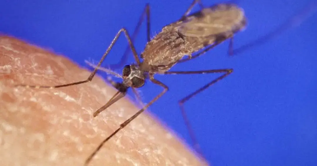 Resistência aos tratamentos