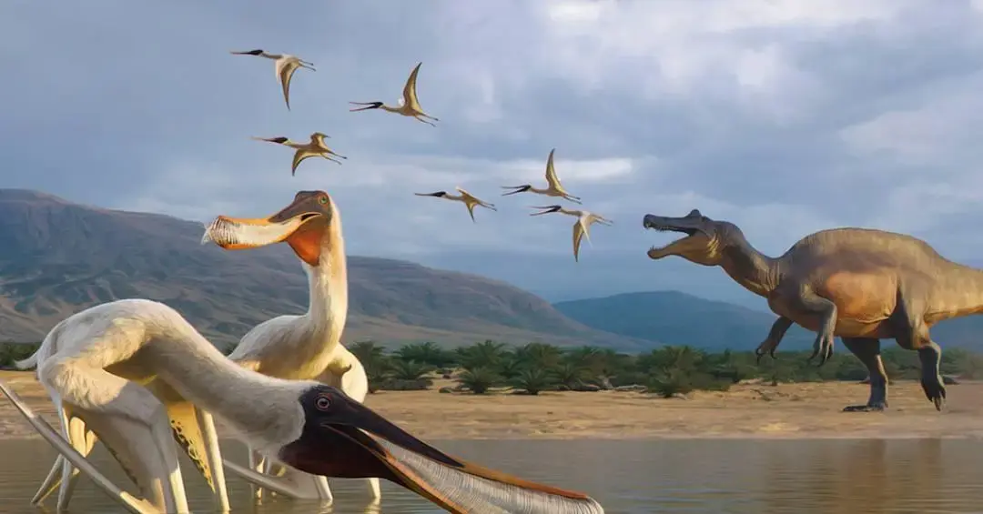 Réptil voador da Bacia do Araripe