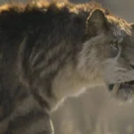 Unicórnio da vida real