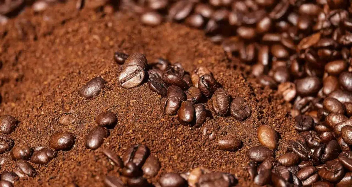 Café robusta especial