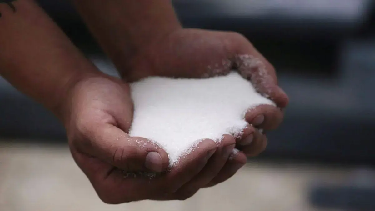 Preços ao produtor no Brasil