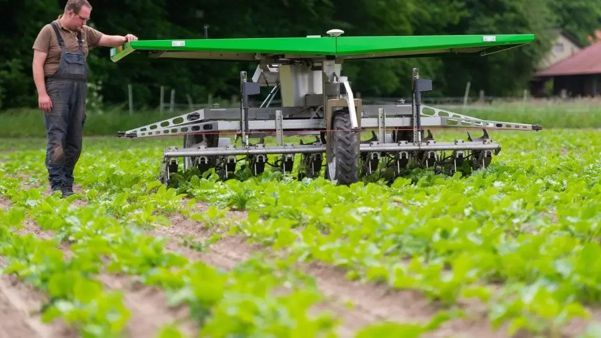 Produção orgânica na Dinamarca